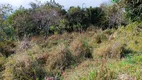 Foto 40 de Fazenda/Sítio à venda, 60000m² em Zona Rural, Natividade da Serra