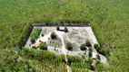 Foto 3 de Fazenda/Sítio com 3 Quartos à venda, 12000000m² em Zona Rural, Balsas