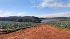 Foto 20 de Fazenda/Sítio à venda, 9680000m² em Centro, Senador Amaral