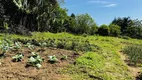 Foto 24 de Fazenda/Sítio à venda, 6300m² em Zona Rural, Tijucas do Sul