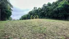 Foto 35 de Fazenda/Sítio com 2 Quartos à venda, 18555m² em Campestre da Faxina, São José dos Pinhais