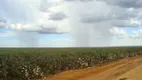 Foto 9 de Fazenda/Sítio com 3 Quartos à venda, 17897m² em Zona Rural, Água Boa