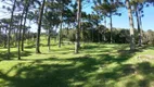 Foto 11 de Lote/Terreno à venda, 2640m² em , Garibaldi