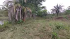 Foto 11 de Fazenda/Sítio à venda, 10m² em Zona Rural, Ipameri