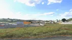 Foto 3 de Lote/Terreno à venda, 500m² em Chácaras Luzitana, Hortolândia