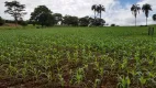 Foto 12 de Fazenda/Sítio à venda, 5m² em , Bela Vista de Goiás