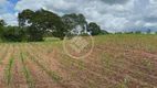 Foto 22 de Fazenda/Sítio à venda, 20m² em Zona Rural, Hidrolândia