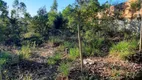 Foto 4 de Lote/Terreno para venda ou aluguel, 1000m² em , Itatiaiuçu