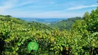 Foto 5 de Fazenda/Sítio à venda, 68000m² em Centro, Monte Belo do Sul