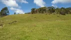 Foto 16 de Fazenda/Sítio com 2 Quartos à venda, 80000m² em Centro, Alfredo Wagner