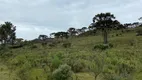 Foto 6 de Fazenda/Sítio à venda, 240000m² em Perico, São Joaquim