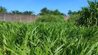 Foto 17 de Fazenda/Sítio com 4 Quartos à venda, 130m² em Zona Rural, São José de Mipibu