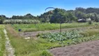 Foto 26 de Fazenda/Sítio com 3 Quartos à venda, 25000m² em Ratones, Florianópolis