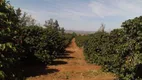 Foto 3 de Fazenda/Sítio à venda, 1560000m² em Zona Rural, São Gotardo