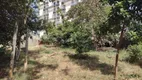 Foto 3 de Lote/Terreno à venda, 293m² em Jardim Paraíso, São Carlos