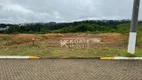 Foto 7 de Lote/Terreno à venda, 420m² em Centro, Agronômica