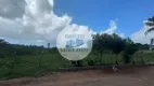 Foto 4 de Lote/Terreno à venda, 9000m² em Mangabeira, Macaíba