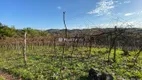 Foto 29 de Lote/Terreno à venda, 140000m² em Vale dos Vinhedos, Bento Gonçalves