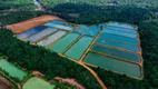 Foto 4 de Lote/Terreno à venda, 862000m² em Centro, Manaus