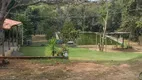 Foto 21 de Fazenda/Sítio com 4 Quartos à venda, 100m² em Zona Rural, Caldazinha