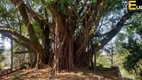 Foto 6 de Fazenda/Sítio com 3 Quartos à venda, 10870m² em Chácaras Alpina, Valinhos