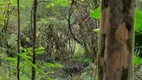 Foto 12 de Fazenda/Sítio à venda, 7323m² em Guatupe, São José dos Pinhais