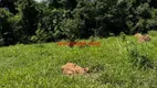 Foto 20 de Fazenda/Sítio com 3 Quartos à venda, 200m² em , Piracanjuba