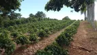 Foto 13 de Fazenda/Sítio com 3 Quartos à venda, 12100m² em Zona Rural, Ouro Fino