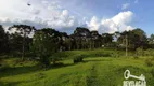 Foto 23 de Fazenda/Sítio com 4 Quartos à venda, 300m² em Campo Alto, Tijucas do Sul