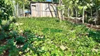 Foto 16 de Fazenda/Sítio com 2 Quartos à venda, 160m² em Morungava, Gravataí