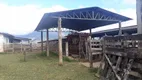 Foto 11 de Fazenda/Sítio com 3 Quartos à venda, 180m² em Zona Rural, Aiuruoca