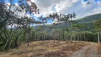 Foto 17 de Fazenda/Sítio à venda, 20000m² em Santa Tereza, Urubici