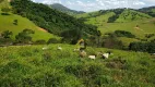 Foto 14 de Fazenda/Sítio à venda, 730000m² em Zona Rural, Capitólio