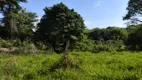 Foto 16 de Fazenda/Sítio à venda, 5460m² em Cardoso Continuação , Aparecida de Goiânia