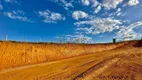 Foto 34 de Fazenda/Sítio à venda em Gordiano Guimaraes, Colatina