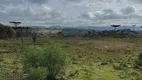 Foto 9 de Fazenda/Sítio à venda, 140000m² em Riacho, Urubici