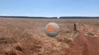 Foto 20 de Fazenda/Sítio com 2 Quartos à venda, 26620000m² em Zona Rural, Campo Alegre de Goiás