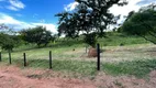 Foto 51 de Fazenda/Sítio com 4 Quartos à venda, 46000000m² em Centro, Professor Jamil