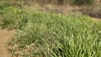 Foto 4 de Lote/Terreno à venda, 1568m² em Loteamento Morada da Garça, Matias Barbosa