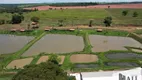 Foto 6 de Fazenda/Sítio à venda, 700000m² em Centro, Mirassol