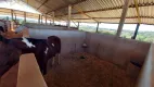 Foto 15 de Fazenda/Sítio com 2 Quartos à venda, 300m² em Area Rural de Santo Antonio de Posse, Santo Antônio de Posse