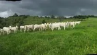 Foto 4 de Fazenda/Sítio à venda, 40000m² em Benedito Bentes, Maceió