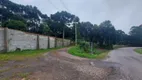 Foto 6 de Galpão/Depósito/Armazém para alugar, 900m² em , Flores da Cunha