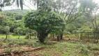 Foto 5 de Fazenda/Sítio à venda em Serra Azul, Mateus Leme