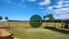 Foto 20 de Fazenda/Sítio à venda, 242000m² em Zona Rural, Piracanjuba