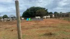 Foto 6 de Fazenda/Sítio com 1 Quarto à venda, 136m² em Zona Rural, Jequitibá