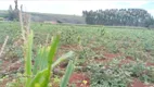 Foto 27 de Fazenda/Sítio com 3 Quartos à venda, 40000m² em Area Rural de Brazlandia, Brasília