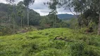 Foto 27 de Lote/Terreno à venda, 36000m² em Zona Rural, Delfim Moreira