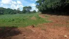 Foto 5 de Fazenda/Sítio com 3 Quartos à venda, 50000m² em , Nerópolis