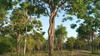 Foto 8 de Fazenda/Sítio com 2 Quartos à venda, 10000m² em Andiroba, Esmeraldas